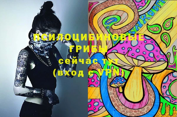 apvp Алзамай