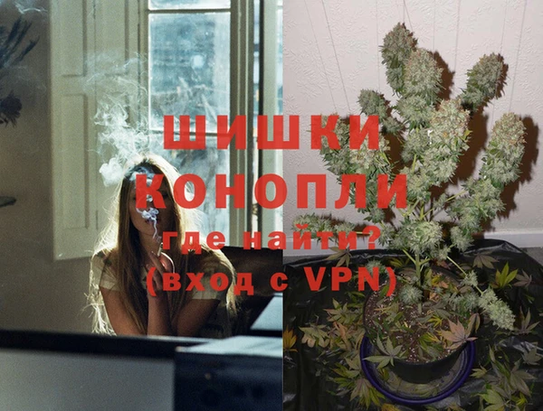 сатива Алексин